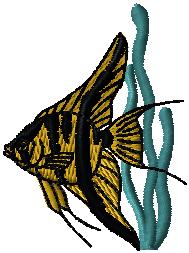 魚　angelfish2