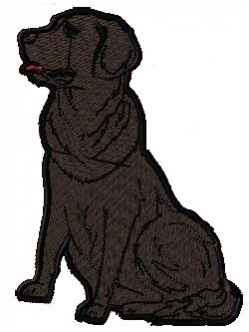 犬　AN-DG-0008