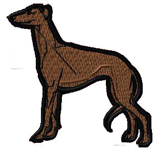 AN-DG-0004dog